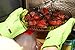 Heat Resistant Silicone Gloves - Ideal for BBQ, Grilling, Cooking, Smoking - Durable & Built To Last