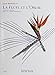 LA FLUTE ET L'OISEAU --- 1 OU 2 FLUTES (French Edition) by 