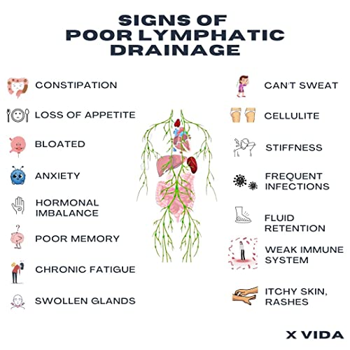 X Vida Lymphatic Drainage Tool Body Gua Sha Paddle & Boar Bristle Dry