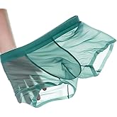 Cerahome Mens Cooling Thin Boxers Briefs Breathable Quick Dry Trunks Sweat Absorbing Fitness Sport Underwear