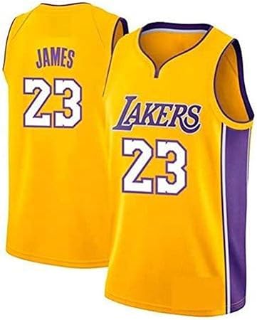 camiseta lakers 23