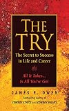The Try: Reclaiming the American Dream by James P. Owen