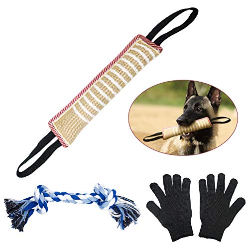 Great for bigger dogs