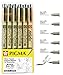 Sakura Pigma Micron Drawing Pen Set, Archival Ink Black fineliner Manga Pen, Assorted nibs Sizes fine Point (005, 01, 03, 05, 08, Brush tip) (Drawing Set)