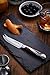 Hammer Stahl Bar Knife | Professional Bartender Knife for Garnishing, Cocktail Crafting & Citrus Peeling | High Carbon Stainless Steel Citrus Knife | Ergonomic Quad-Tang Pakkawood Handle & Gift Box