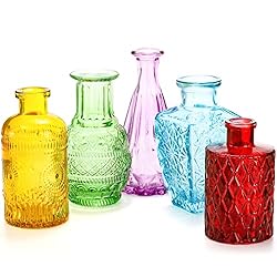 Coloch Set of 10 Colored Bud Vases, Assorted Small