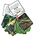 Animal Planet 3D Flash Cards - Bugs
