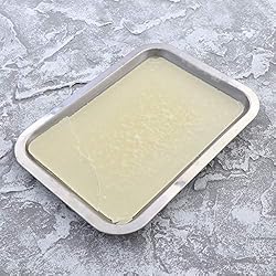 UKCOCO Wax Dissection Tray - Stainless Steel