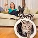 Cat Condo Pet Cube (15x15x15) – Cat House Pet Bed Hideaway for Your Kitty's Privacy and Entertainment! Durable, Washable, Easy to Clean & Non-Toxic Cat Bed – Large 8.5” Entry with Easy Carry Handle!