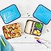 LunchBots Lite Bento Box Lunch Bundle - Includes Two Bento Boxes - One Section and Three Section Stainless Steel Containers and Silicone Cups - Eco-Friendly, Dishwasher Safe, BPA-Free - Ocean