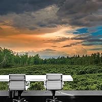 Wall Mural Foggy Forest Removable Self-Adhesive Wallpaper Wall Decoration for Bedroom Living Room - 66x96 inches