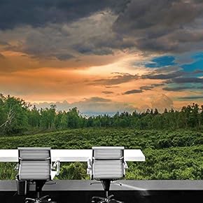 signwin Wall Mural Foggy Forest Removable Self-Adhesive Wallpaper...