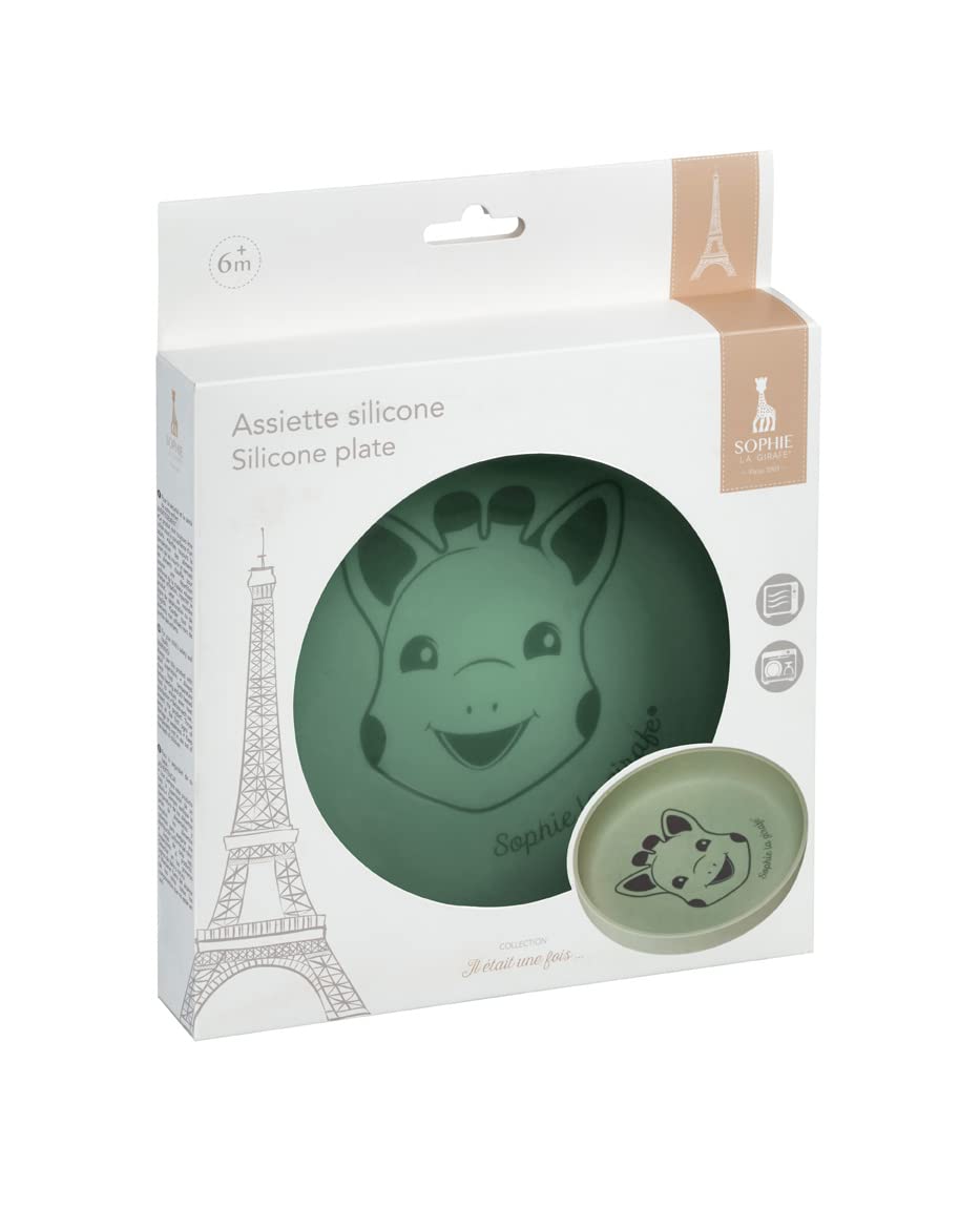 Silicone Plate