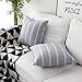 Home Brilliant 2 Packs Striped Euro Sham Pillow Cover for Decorative Cushion Covers for Sofa Bed Room, 24 x 24 inches(60x60cm), Grey