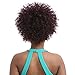 Sensationnel Synthetic Hair DrawString Ponytail Instant Pony Natural Afro 10