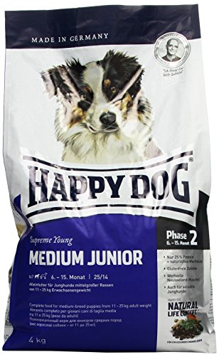 happy dog medium junior
