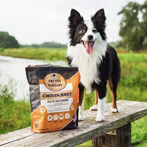 BRUTUS & BARNABY Chicken Jerky Dog Treats Dehydrated Crunchy USA Premium Fillets, GrainFree