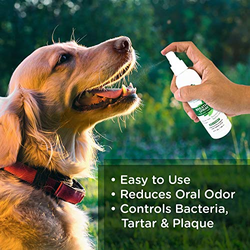 Lillian Ruff Dog Breath Freshener Dental Care Spray Dog Oral Health