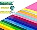 Everyday Crafter Heat Transfer Vinyl Variety Bundle Pack 20 HTV Sheets 18+2 Free -Assorted Colors incl. Neon, Pastel- 12