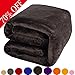 Shilucheng Luxury Fleece Blanket Super Soft and Warm Fuzzy Plush Lightweight Throw Couch Bed Blankets Mini Size 43