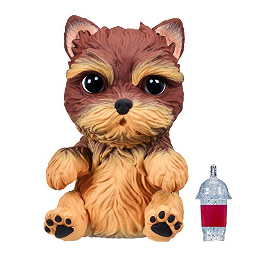 OMG PETS YORKIE
