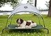 Everything Summer Camp Dog Bed Canopy with Adapter - Fits Large Size Coolaroo and Amazon Basics Pet Beds (Bed Sold Separately)