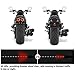 GreenClick 40W Motorcycle Tail Lights Universal Led Turn Signal and Brake Lights with License Plate Bracket for Harley Honda Yamaha Suzuki Kawasaki