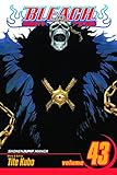 Bleach, Vol. 43