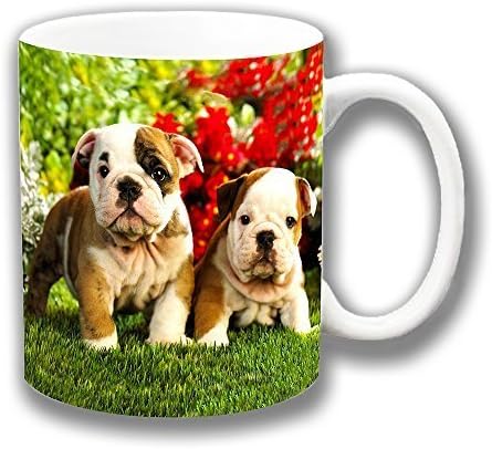 Due Carino Bulldog Inglese Cuccioli In Giardino Ceramica Tazza Per Te Caffe Unico Idea Regalo Amazon It Casa E Cucina