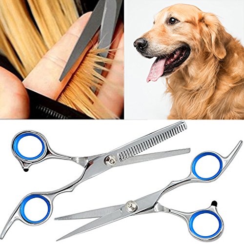 Купить Dog Scissors for Grooming Face and Paws, Cat and Dog Grooming