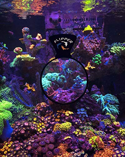 Flipper DeepSee 4" Magnetic Aquarium Viewer – Optical-Grade Magnifying Lens for Glass & Acrylic Tanks up to 5/8" Thick – Hands-Free Underwater Viewing for Fish, Corals & Aquarium Photography – Black