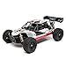 Losi Mini 8Ight 1/14 Scale Rc Db Desert Buggy Rtr with 2.4Ghz Radio Tx | SRX200 2-Ch RX | Waterproof Bl 25A ESC | 7.2V 1200mAh NiMH Battery | Battery Charger, LOS01009T1 (White)