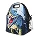 Lunch bag Thermal bags Outdoor Picnic Meal Package for Boys Girls Women Kids-dino