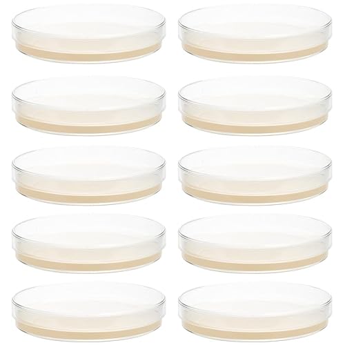 12 Piastre Petri Sterili 12 Piastre Petri Pre-versate Con Agar
