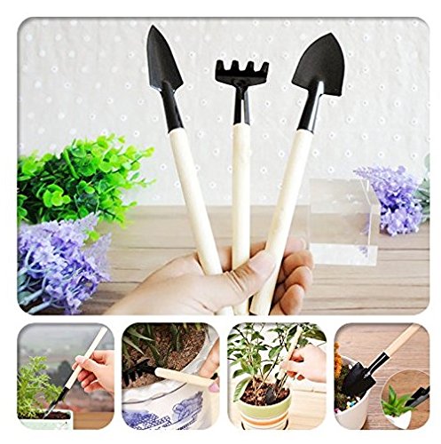 Pack of 2 3pcs Set Gardening Tool Shovel Small Garden Rake and Hand Trowel Mini Indoor Garden Tools Gifts for Kids House Plants