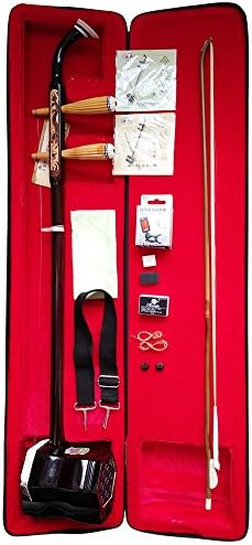 2 String Erhu Chinese Traditional Instrument, 2 String Chinese Fiddle, Chinese Violin with Ergonomic Flat Neck and Engraved with Dragon, and Phoneme Marks for Beginners Case