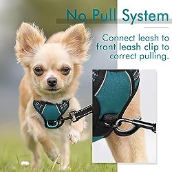 rabbitgoo Dog Harness, No-Pull Pet Harness with 2