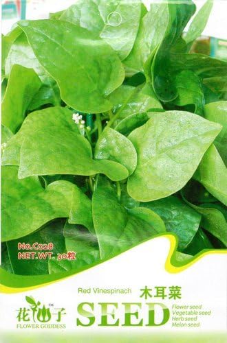 Swansgreen Buy 2 Get 1!(Can Accumulate) 1 Pack 40+ Seeds Vegetable Basella Alba Red Vine Malabar Spinach Seeds C028