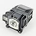 eWorldlamp EPSON ELPLP78 V13H010L78 Projector Lamp Bulb with housing Replacement for EPSON EB-945 955W 965 S17 S18 SXW03 SXW18 W18 W22 X18 X20 X24 X25 EH-TW490 TW5200 EX3220 EX5220 EX6220 EX7220 EPSON PowerLite 1222 1262W 965 97 98 99W HC 2000 HC 2030 HC 725HD HC 730HD S17 S18+ W15+ W17 W18+ X17 X24+