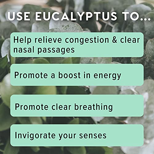 MOXĒ Eucalyptus Essential Oil Nasal Inhaler, Sinus & Congestion Relief