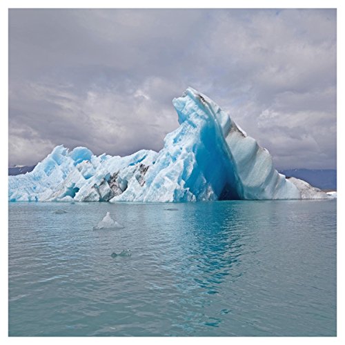 Album art for Snowdonia (Wht) (Dlcd) by Surfer Blood