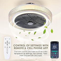 Low Profile Ceiling Fan with Light - Modern Flush