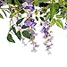 Felice Arts 2 Pcs Artificial Flowers 6.6ft/Piece Silk Wisteria Ivy Vine Green Leaf Hanging Vine Garland for Wedding Party Home Garden Wall Decoration (Purple)