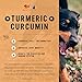Buddy & Lola Turmeric Curcumin for Dogs - Anti Inflammatory Improves Joint Mobility for Strong Hip and Joint Fitness - 120 Chewable Venison Flavor Turmeric for Dogs