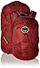 Osprey Packs Farpoint 70 Travel Backpack, Jasper Red, Small/Medium