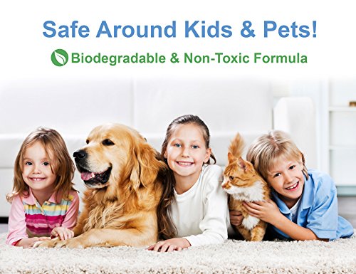 Carpet Miracle - Carpet Cleaner and Deodorizer Solution