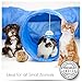 Cat Tunnel Toy - Collapsible 3 Way Tube for Kitty Exercise, Entertainment and Run. Like Christmas and Catnip for Kittens. Best Play House to Help Stop Meowing and Scratching