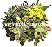 Sphagnum Moss Kokedama Ball, Sphere, Living Wreath, Orb Organic Natural - 13