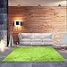 BlueSnail Super Ultra Soft Modern Shag Area Rugs, Bedroom Livingroom Sittingroom Floor Rug Carpet Blanket for Children Play Home Decorate (4' x 5.3', Rectangle, Apple Green)