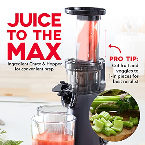 Dash Juicer How To Clean at Michael Payne blog